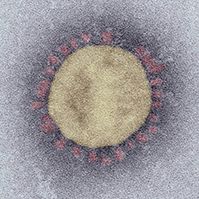 Coronavirus © RKI
