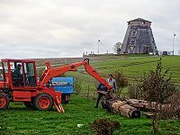 Königswelle und Flügelwelle finden einen neuen Platz