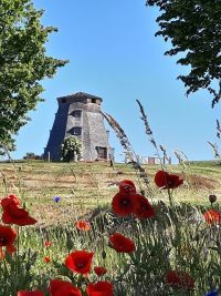 Greiffenberger Mühle mit Mohnblumen im Juni